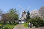 Windmühle Schlei